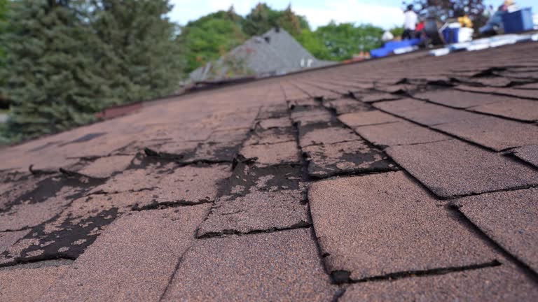 Best Solar Panel Roofing Installation  in Brooktrails, CA